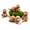 4pcs-beaver 4pcs-beaver