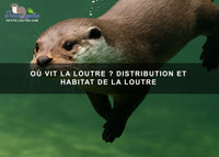 Où vit la loutre ? Distribution et habitat de la loutre
