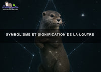 Symbolisme et signification de la loutre