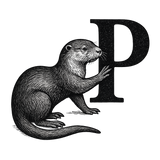 Sweat à capuche Loutre alphabet a personnalisée