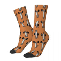 Chaussette petite loutre haltérophile orange